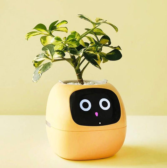 Intelligent robot flowerpot